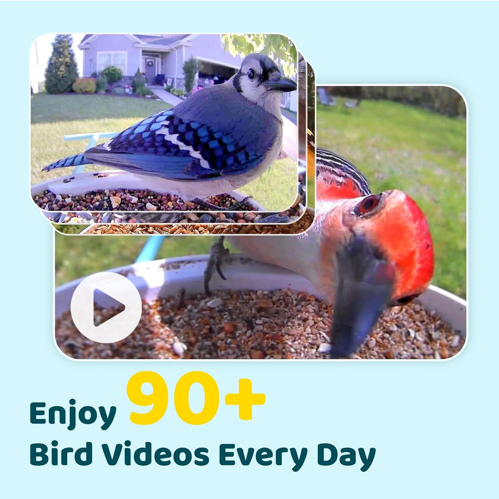 Pro Bird Feeder with Camera, Wider Perch DIY Add-ons, Hummingbird Feeder, Suet Ball, Jelly Feeder, Auto Capture Bird Videos & Motion Detection, Ideal Present