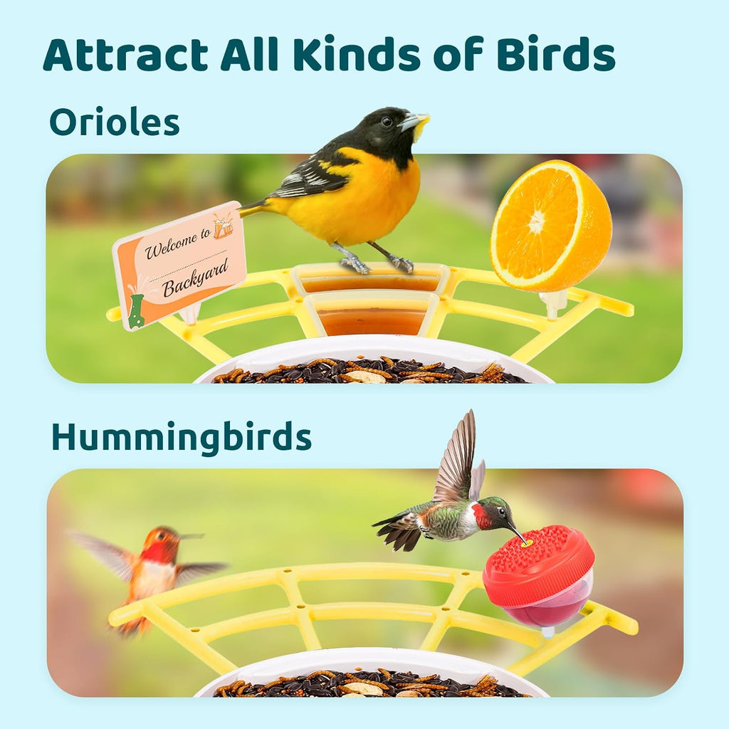 Pro Bird Feeder with Camera, Wider Perch DIY Add-ons, Hummingbird Feeder, Suet Ball, Jelly Feeder, Auto Capture Bird Videos & Motion Detection, Ideal Present