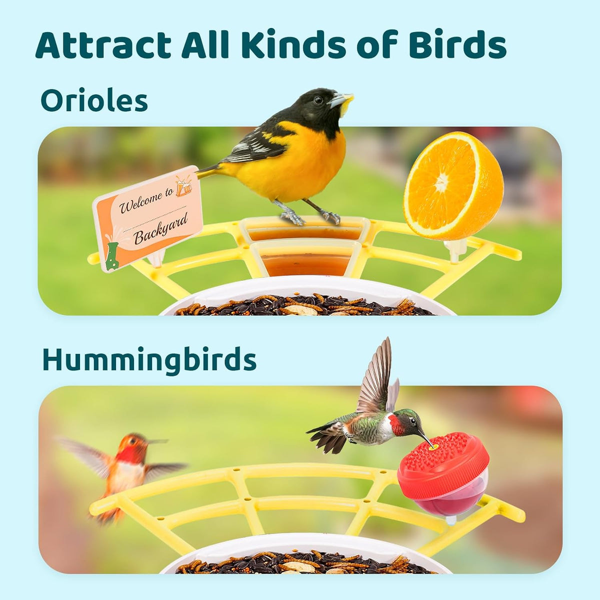 Pro Bird Feeder with Camera, Wider Perch DIY Add-ons, Hummingbird Feeder, Suet Ball, Jelly Feeder, Auto Capture Bird Videos & Motion Detection, Ideal Present