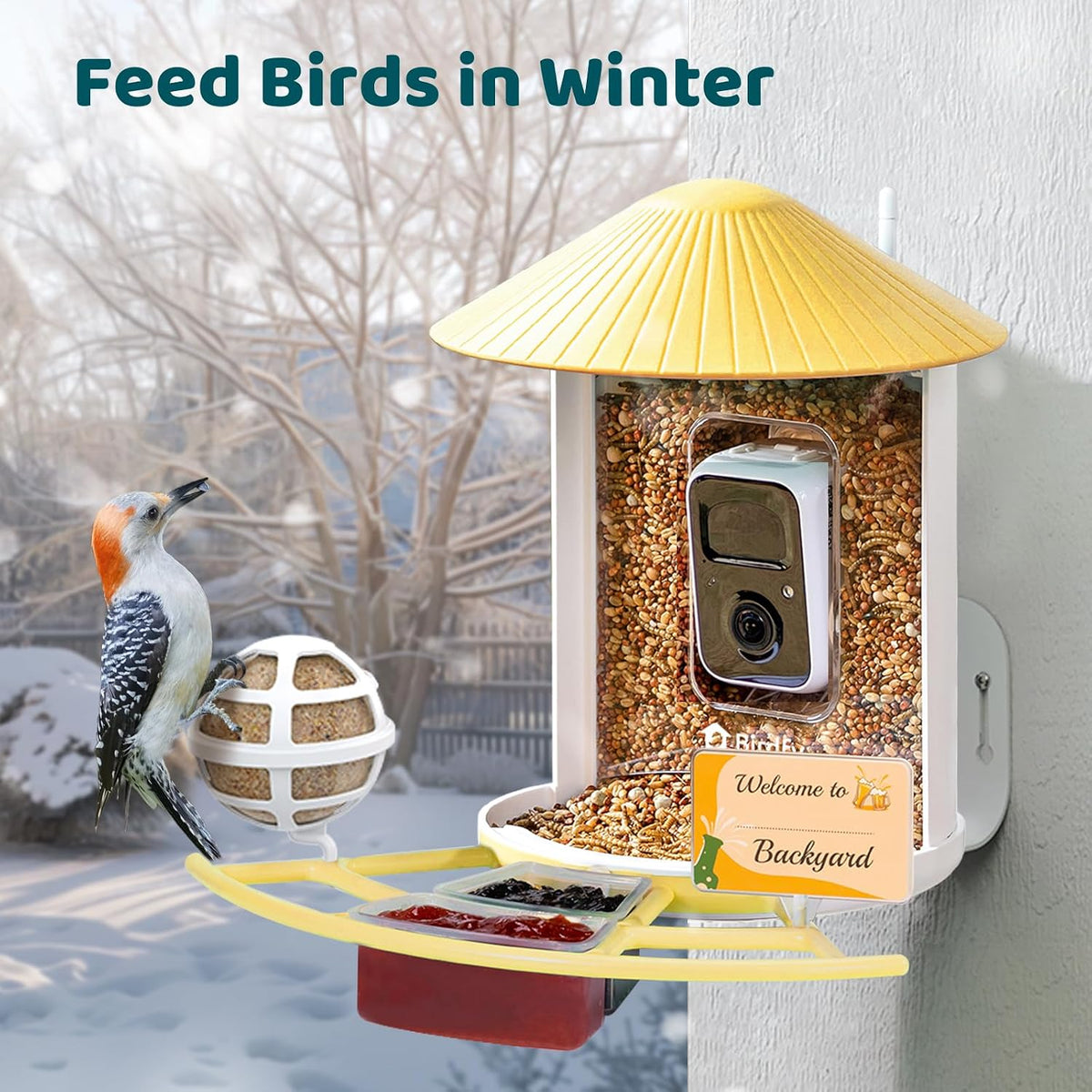 Pro Bird Feeder with Camera, Wider Perch DIY Add-ons, Hummingbird Feeder, Suet Ball, Jelly Feeder, Auto Capture Bird Videos & Motion Detection, Ideal Present
